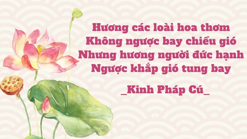 Hương đạo giữa gió đời