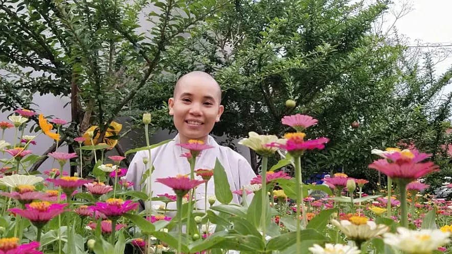 Philological and textual study of Buddhist Sanskrit texts (2026)