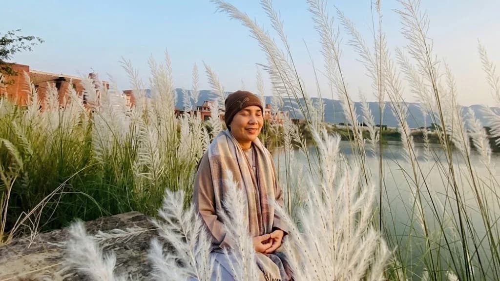 The Transformative Power of Compassion: Insights from the Bhagavad Gita and Sutta Pitaka (2026)