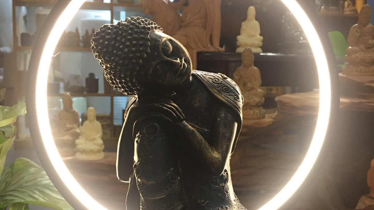 AN ANALYTICAL STUDY OF BUDDHIST PHILOSOPHY ON THE PRACTICE OF AHIMSA (NON-VIOLENCE)". (2026)