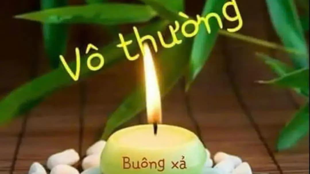 APPLICATION OF BUDDHIST MEDITATION FOR CONFLICT RESOLUTION IN CONTEMPORARY SOCIETY (2026)