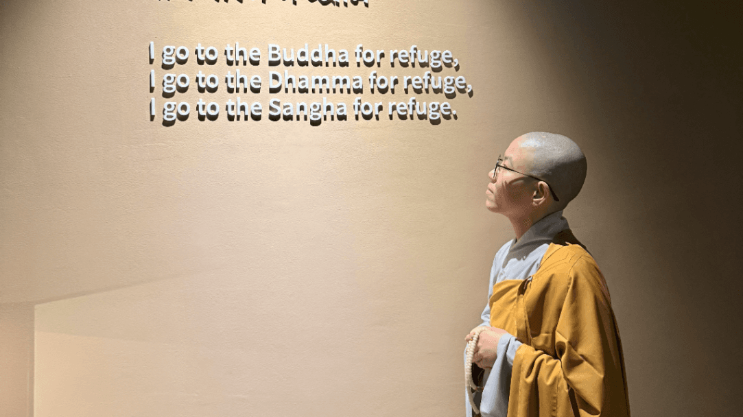 Buddhism and Pandemics: An Analytical Study with Special Reference to Pandemic in Early Buddhism and COVID-19 Pandemic in Vietnam (2026)