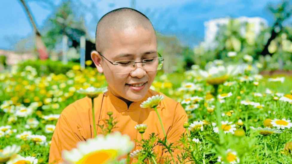 The Tranformation Of Citta In Meditation: Doctrinal And Practical Issues In Pali Literature (2026)