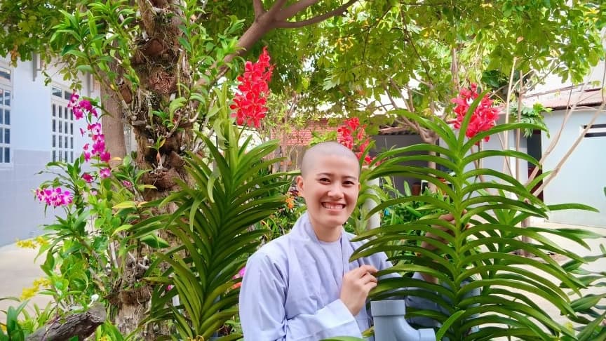 The Right to Visit and Care for the Sick: Perspectives on Monastics and Lay Buddhists in the Pali Canon (2026)